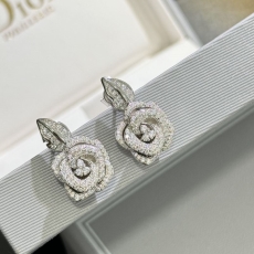 Christian Dior Earrings